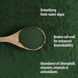 Organic Traditions Organic Powder, Chlorella, 5.3 Ounce