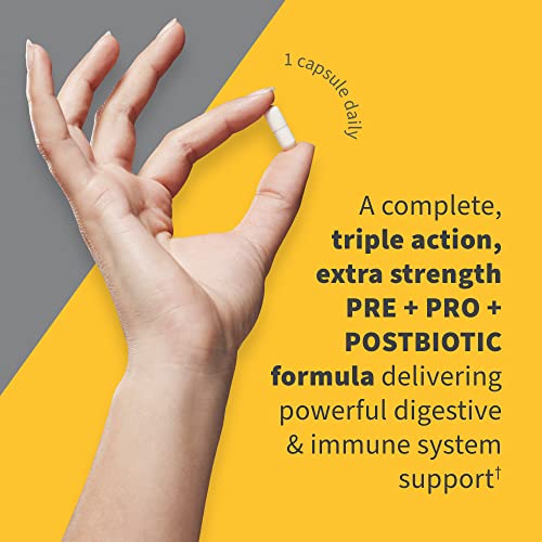 Garden of Life Dr Formulated Once Daily 3-in-1 Probiotics, Prebiotics & Postbiotics | Complete Digestive & Immune Health