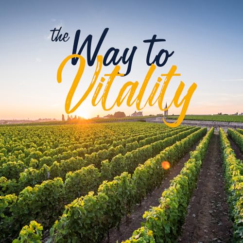 Vitalitown Women's Probiotics 120 Billion CFU - 30 Strains with Prebiotics, Enzymes & Cranberry - 30 Veg Caps