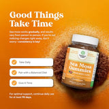 Sea Moss Gummies for Adults and Kids - Vegan Immune Support with Burdock Bladderwrack - 60 Count