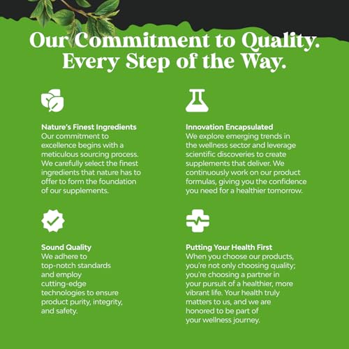 Nootropic Memory Supplement for Brain Support - Memory Pills with Vitamin B12, Bacopa Monnieri, Rhodiola Rosea, DMAE, Ginkgo Biloba & Phosphatidylserine - Natural Energy Booster