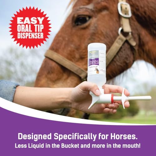 Hyalogic Hyaluronic Acid Equine Joint Supplement - Oral Syringe