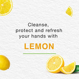 Himalaya Purehands Hand Wash - Tulsi & Lemon, 750ml (3x250ml), Germ Protection, Liquid Soap