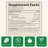 Fungies Lion'S Mane Mushroom Brain Health Gummies (60 Count) - Focus, Memory & Mood Support