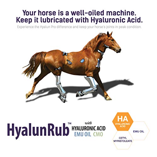 Hyalogic Hyaluronic Acid Equine Joint Supplement for Horses (Oral Syringe)