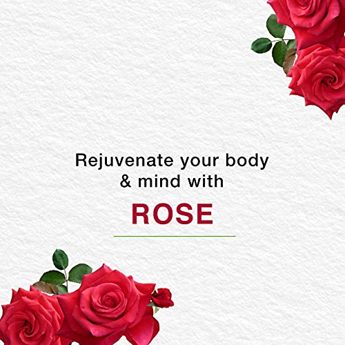 Himalaya Moisture Rich Rose Soap Bar - 6 Bars (125g Each) | Olive Oil & Cocoa Butter for Hydration