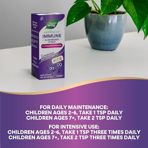 Nature's Way Sambucus For Kids - Standardized Elderberry Syrup - Immune Support - 4 fl oz (120 ml)