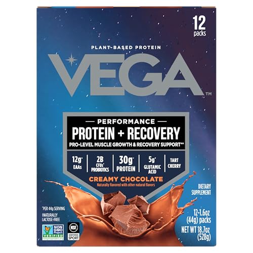 Vega Chocolate Protein Bars - Plant-Based, 12-Pack, 1.6oz Each
