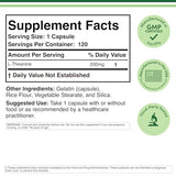 L-Theanine 200mg - 120 Soy-Free Capsules for Calm Focus & Stress Relief Synergy