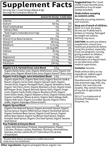 Garden of Life Raw Organic Perfect Food Green Superfood - 7.4 oz (209 g)