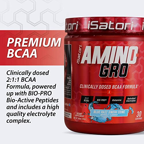 iSatori Amino-Gro Blue Razz Snow Cone 30 Servings - BCAA Amino Acid Supplement