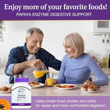 21st Century Papaya Enzyme - 100 Chewable Tablets | Digestive Support & Natural Enzymes