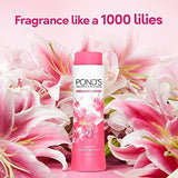 Pond's Dream Flower Talc - Pink Lily - 400g