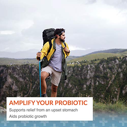 Arthur Andrew Medical Floraphage Probiotic Prebiotic Supplement - 90 Capsules