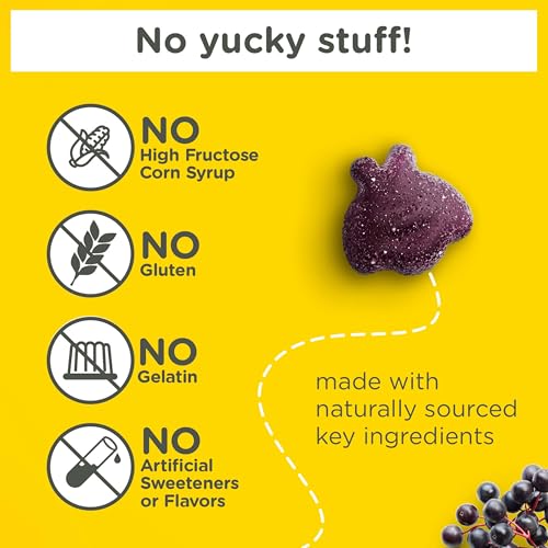 Zarbee's Naturals Children's Elderberry Immune Support Gummies - Natural Berry Flavor, 42 Count