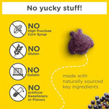 Zarbee's Naturals Children's Elderberry Immune Support Gummies - Natural Berry Flavor, 42 Count
