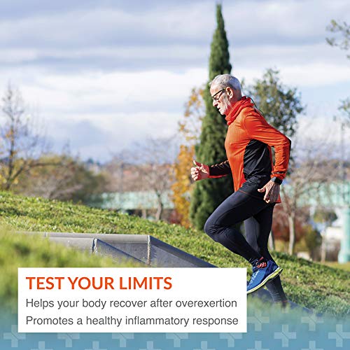 Arthur Andrew Medical Serretia Serrapeptase 500mg Capsules - 90 Count