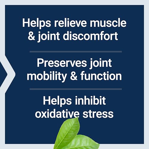 Life Extension MSM, 100 Capsules, 1000mg per Capsule for Joint Support
