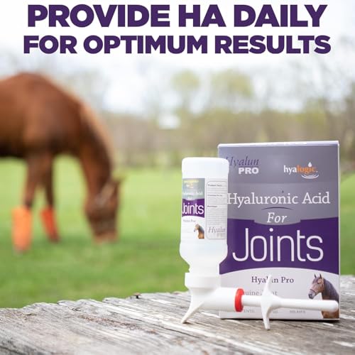 Hyalogic Hyaluronic Acid Equine Joint Supplement - Oral Syringe