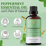 AVD ORGANICS 100% Pure Peppermint Essential Oil (30ml) for Aromatherapy & Focus