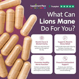 Organic Lion's Mane Mushroom Capsules 500mg - Natural Brain & Immune Support Supplement