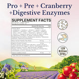 Vitalitown Women's Probiotics 120 Billion CFU - 30 Strains with Prebiotics, Enzymes & Cranberry - 30 Veg Caps