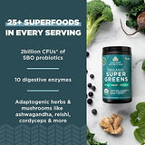 Ancient Nutrition Super Greens Powder - Organic Superfood Blend with Probiotics