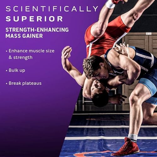 MuscleTech Mass Tech Performance Series Scientifically Superior Mass Gainer Helps Maximize Muscle Mass & Strength Protein Powder - 80g Protein, 156g Carbs & 1000 Calories, Strawberry Flavor 6.00 lbs