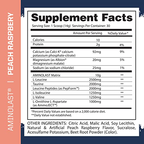 Gaspari Nutrition Amino Last BCAA Recovery Powder Peach Raspberry 30 Servings