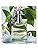 Bvlgari Pour Homme Eau de Parfum - 100ml - Classic Men's Fragrance