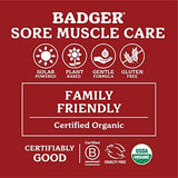 Badger Ginger Arnica & Cayenne Massage Oil - Deep Tissue Relief