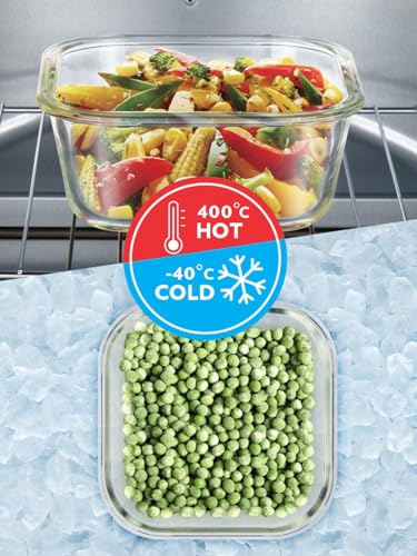 BOROSIL KLIP-N-STORE 520ML Square Glass Food Storage Container with Airtight Lid