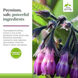 Terry Naturally Traumaplant Comfrey Cream: Soothing Topical Relief (100g)