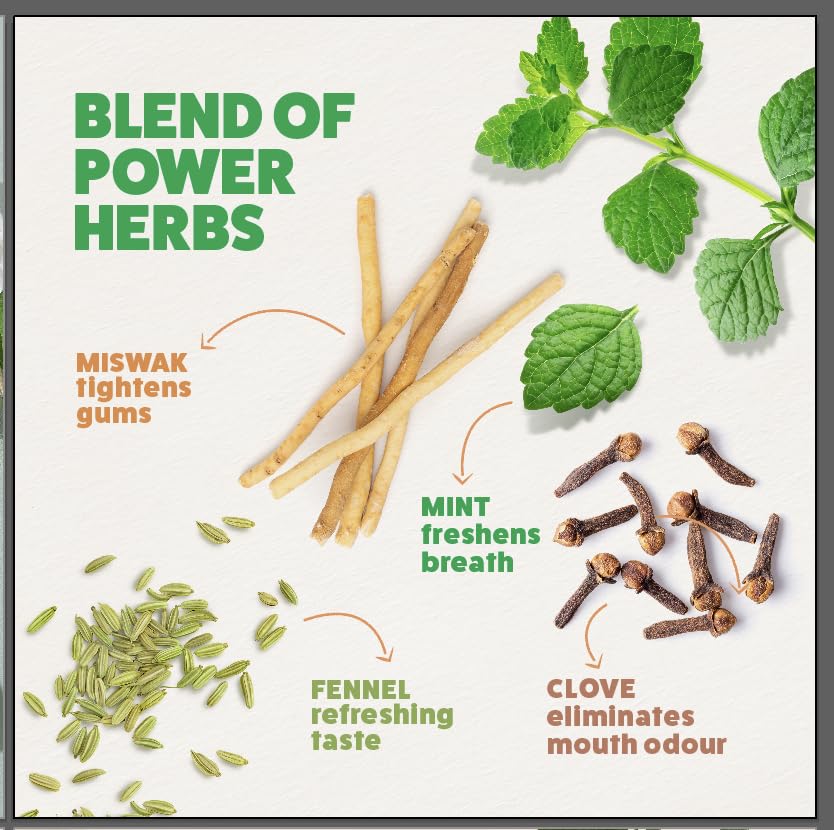 Himalaya Mint Fresh Herbal Toothpaste - 300ml Fresh Breath Formula