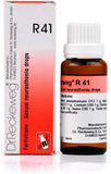 Reckeweg R41 Drops 22ml