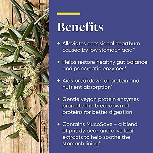 Enzymedica Fast-Acting Betaine HCL: Heartburn & Indigestion Relief - 120 Capsules