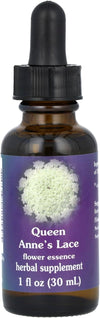 Flower Essence Services Queen Anne's Lace Herbal Supplement - 1 oz Dropper