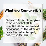 Greenwood Essential Pure Bakuchi Oil (Babchi Oil) - 100% Natural Therapeutic Grade, Cold Pressed for Skin & Personal Care, 15ml