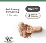 مستخلص Tongkat Ali مع Tribulus Terrestris لتعزيز صحة الرجال
