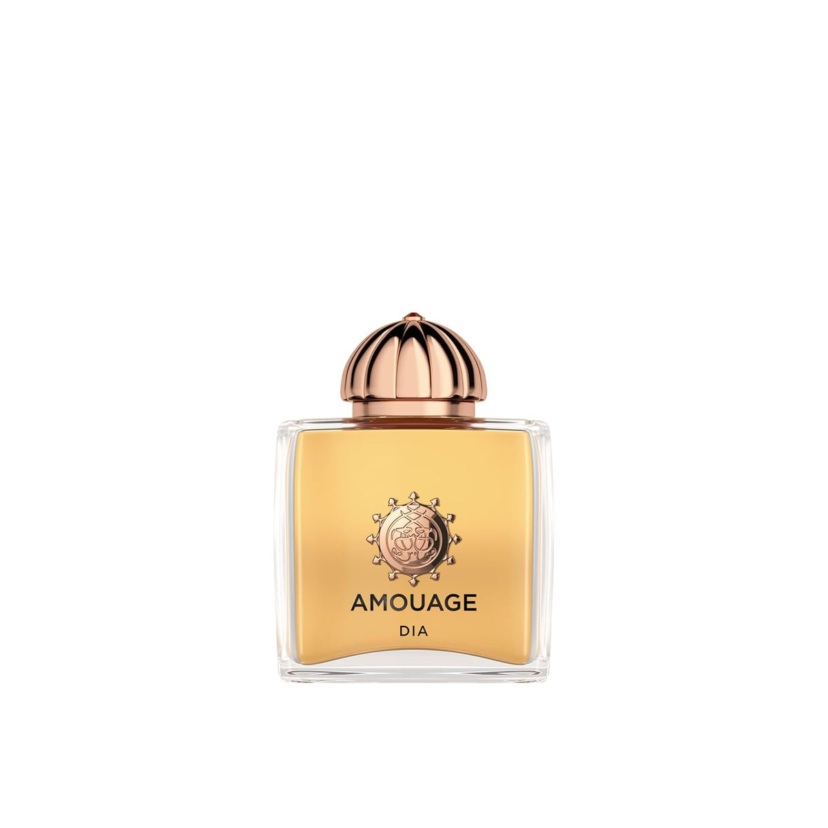 Amouage Dia Pour Homme Eau de Parfum for Men, 100ml - Luxury Scent