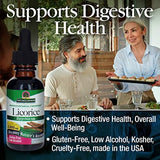 Nature's Answer Alcohol-Free Licorice Root Extract - 2000mg