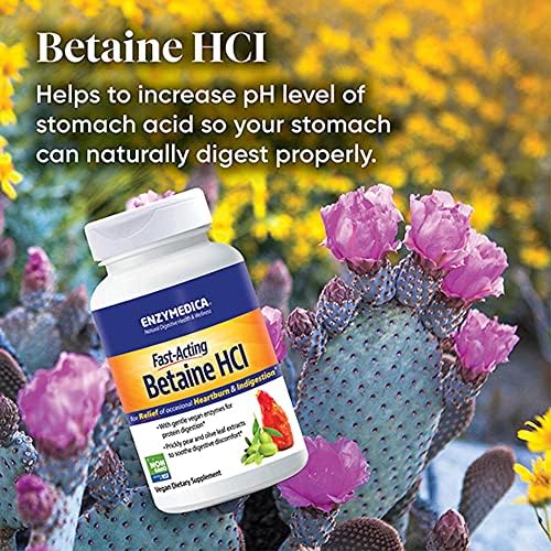 Enzymedica Fast-Acting Betaine HCL: Heartburn & Indigestion Relief - 120 Capsules