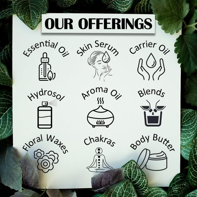 Greenwood Essential Pure Bakuchi Oil (Babchi Oil) - 100% Natural Therapeutic Grade, Cold Pressed for Skin & Personal Care, 15ml