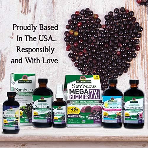 Nature's Answer Sambucus Black Elderberry Spray - 2 fl oz