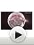 Filorga NCEF-Reverse: Multi-Corrective Serum (50ml)