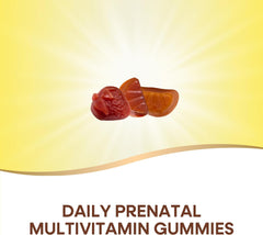 Nature's Way Alive! Prenatal Premium Gummy Multivitamins, High Potency Folate, Plant Based DHA, Vegetarian, Fragrance and Lemon Flavored, 75 Gummies (قد تختلف العبوة)