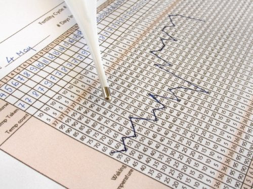 BBT Basal Thermometer (Centigrade, Flexible Tip) & 30 Ovulation Test Strips Combo Kit