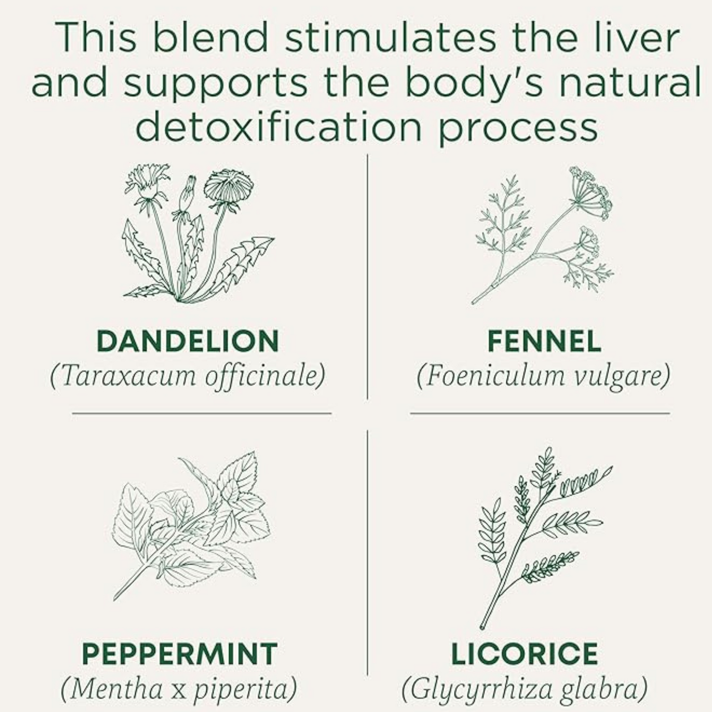 Traditional Medicinal Everyday Detox Dandelion, 16 Teabags