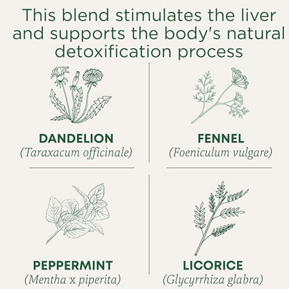 Traditional Medicinal Everyday Detox Dandelion, 16 Teabags