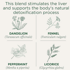 Traditional Medicinal Everyday Detox Dandelion, 16 Teabags